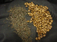 teas and coffees